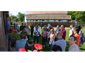 Modelne šume Jadranske regije